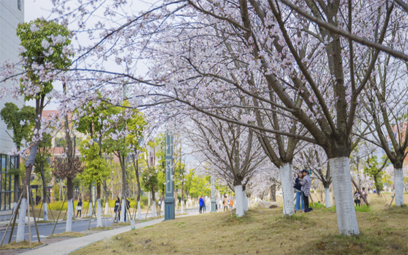 2023年遵義師范學院在山西錄取批次及錄取分數(shù)參考