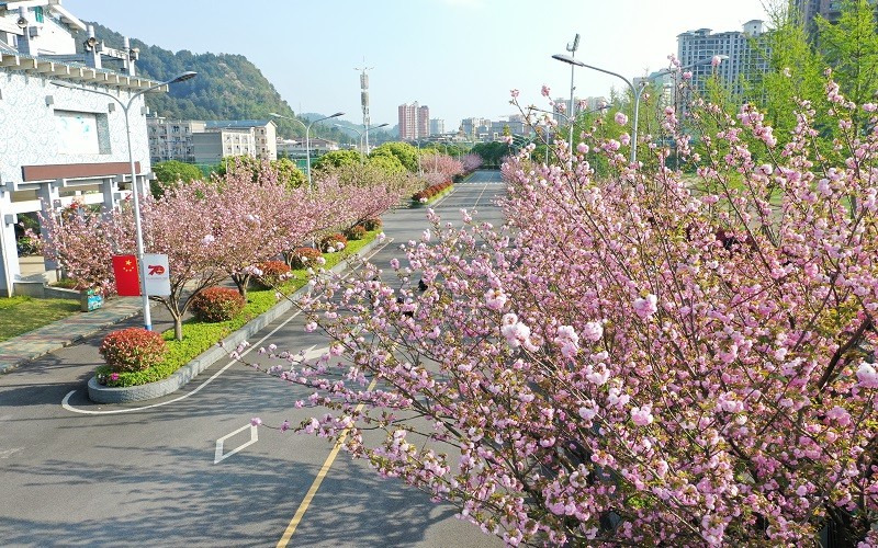 多少分可以上黔南民族師范學(xué)院？黔南民族師范學(xué)院2022年在廣西各招生專業(yè)錄取分?jǐn)?shù)匯總