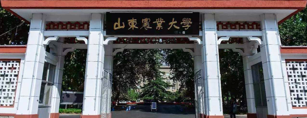 2024年校友會大學(xué)排名：山東農(nóng)業(yè)大學(xué)排名第99位