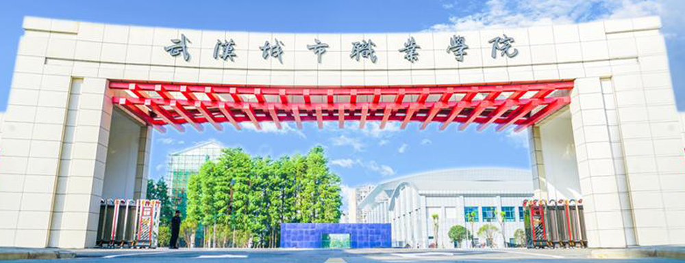 ?武漢城市職業(yè)學院計算機應用技術專業(yè)介紹｜2023大學專業(yè)介紹