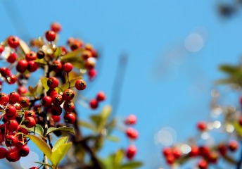 遼寧師范大學(xué)海華學(xué)院思想政治教育專業(yè)錄取分?jǐn)?shù)線【甘肅高考文科】