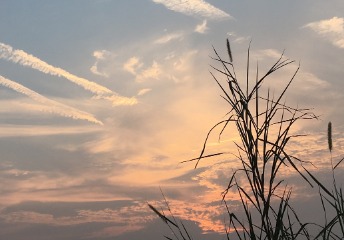 我國最難畢業(yè)的985大學，卻是國內(nèi)教學口碑排名第一的高校！